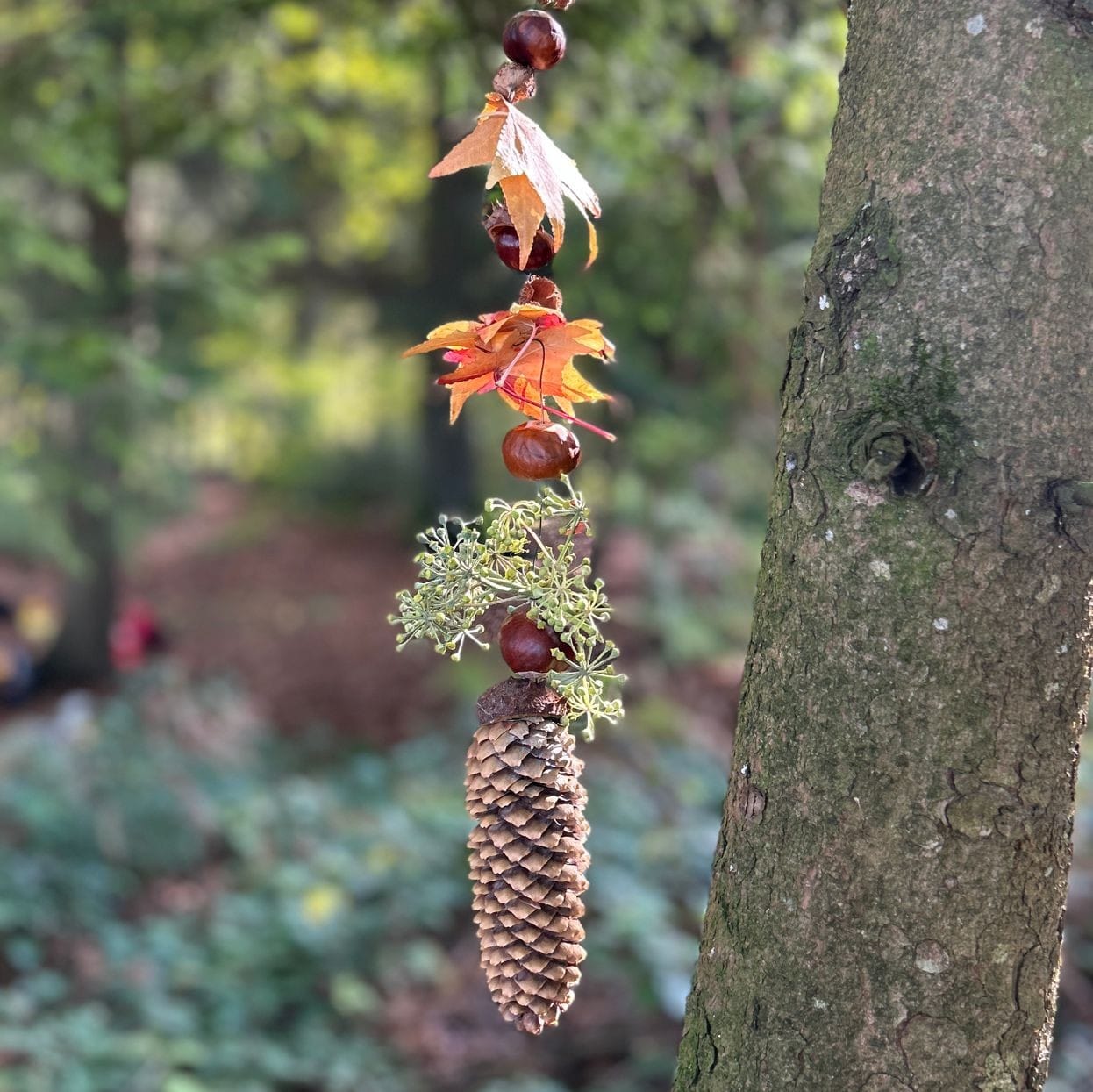 Bastelarbeit aus Kastanie und Tannzapfen im Wald